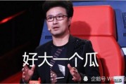 娱乐圈吃瓜吐槽,揭秘明星幕后真相，笑谈八卦吐槽盛宴